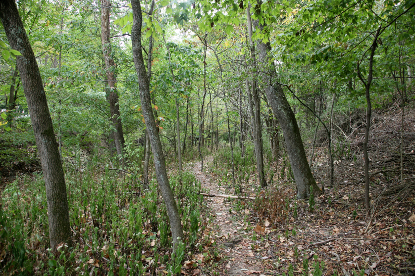 Full Size Image = 7666 K