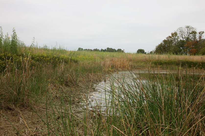 Full Size Image = 5293 K