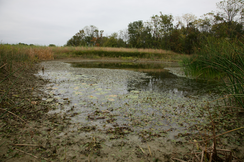 Full Size Image = 5624 K