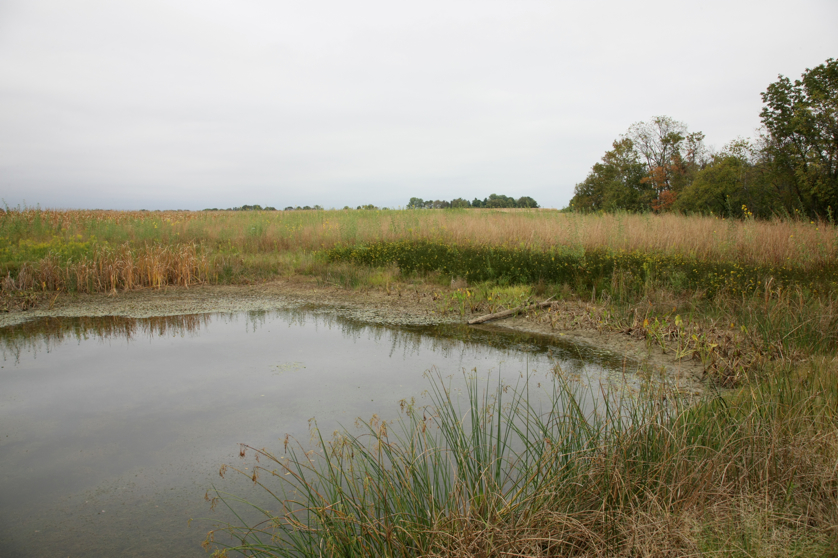 Full Size Image = 4561 K