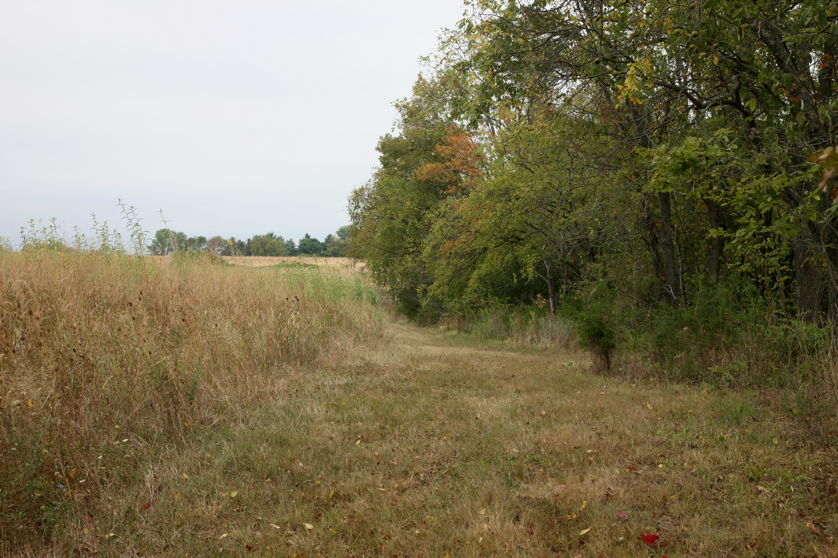 Full Size Image = 5871 K