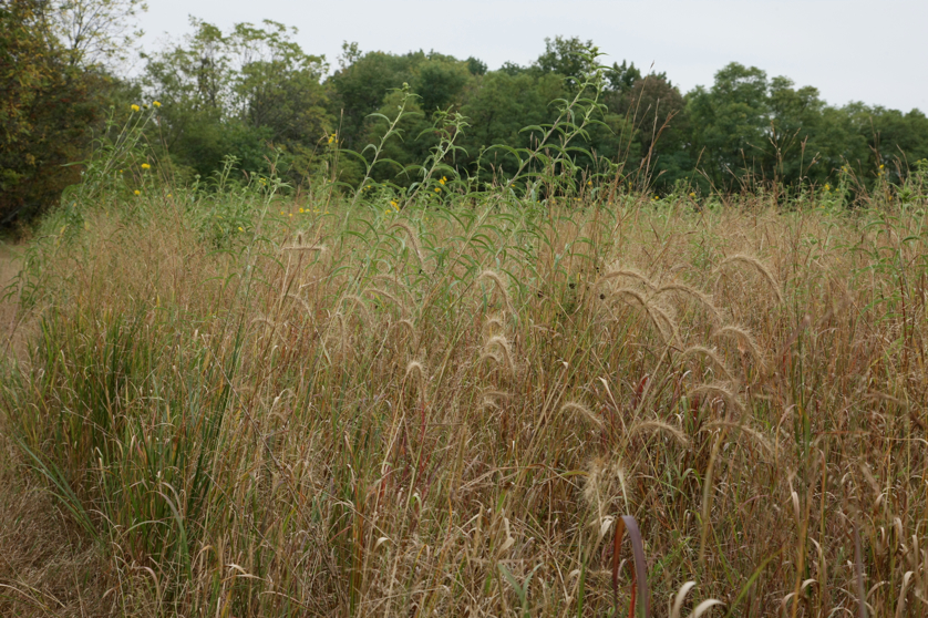 Full Size Image = 5699 K