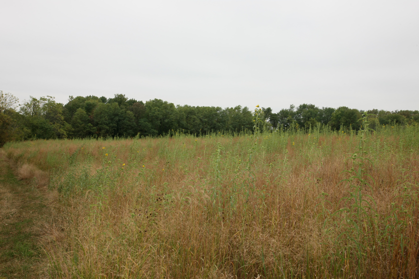 Full Size Image = 4707 K