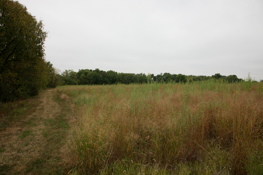 Full Size Image = 4564 K