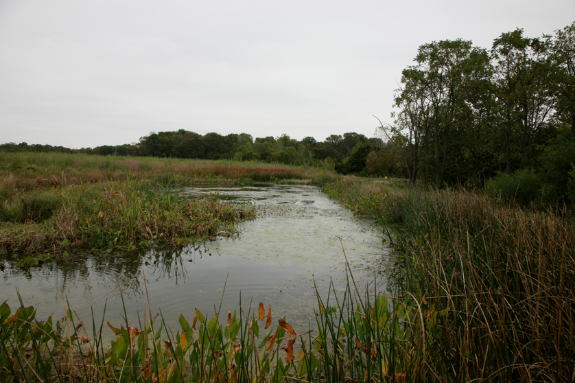 Full Size Image = 4577 K