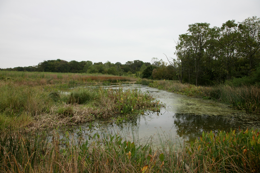 Full Size Image = 5159 K