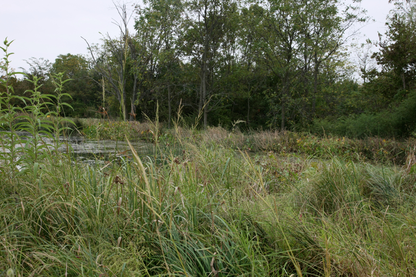 Full Size Image = 6267 K