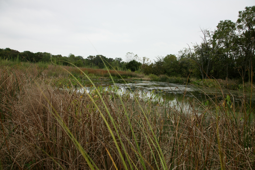 Full Size Image = 4871 K