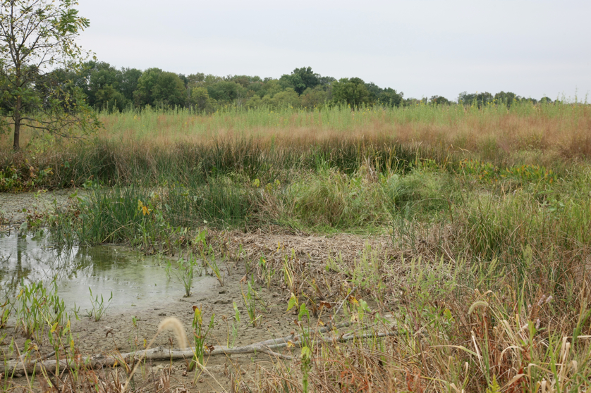 Full Size Image = 5992 K