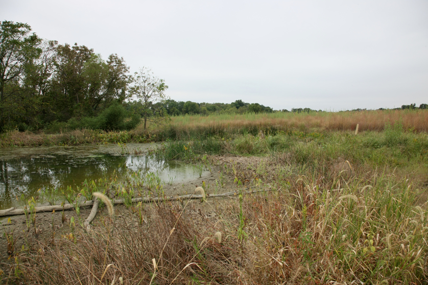 Full Size Image = 5530 K