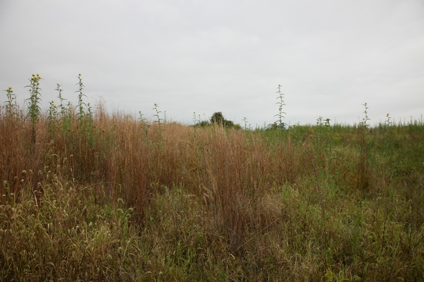 Full Size Image = 4551 K