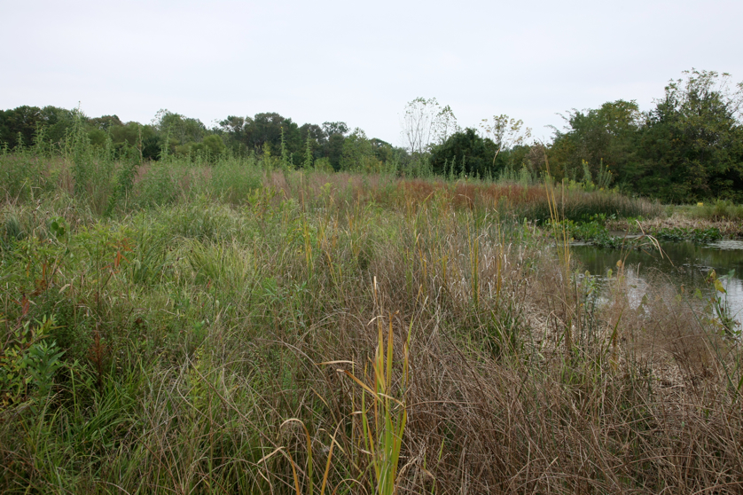 Full Size Image = 5838 K