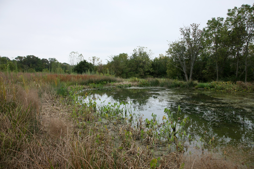 Full Size Image = 5531 K