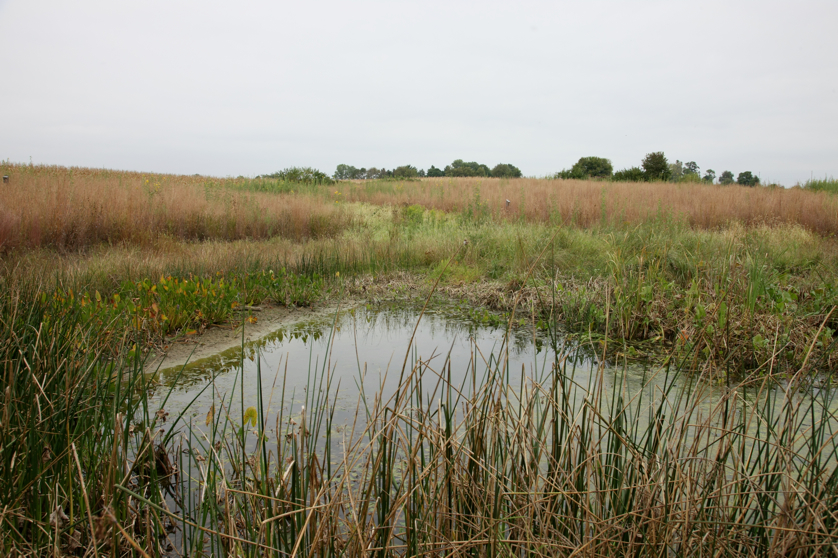 Full Size Image = 5041 K