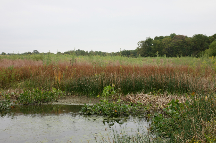 Full Size Image = 4841 K