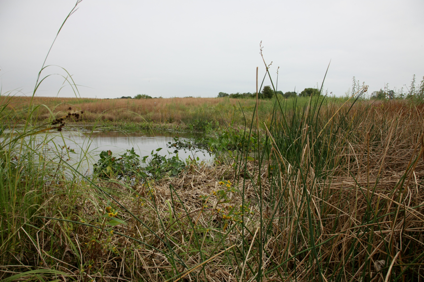 Full Size Image = 5156 K