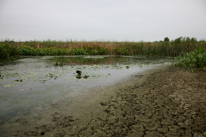 Full Size Image = 4133 K