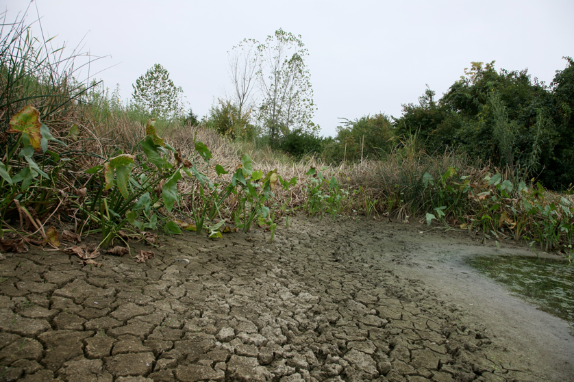 Full Size Image = 5584 K