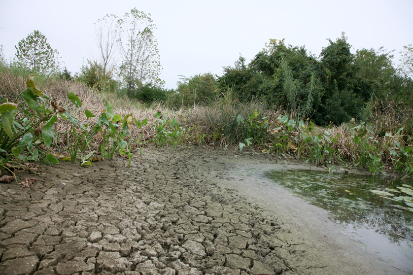 Full Size Image = 5881 K