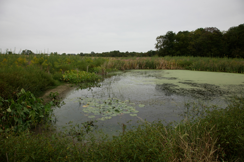 Full Size Image = 4461 K