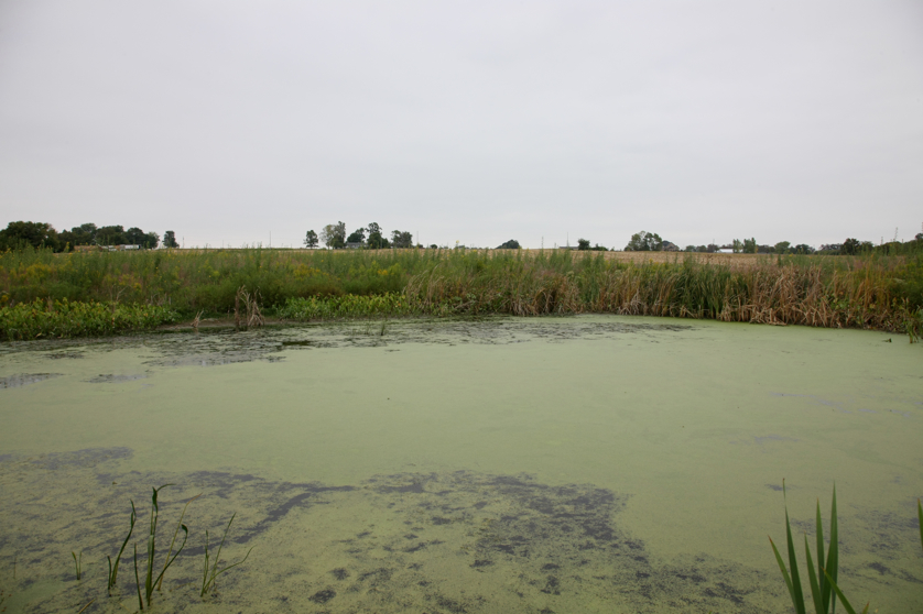 Full Size Image = 3399 K