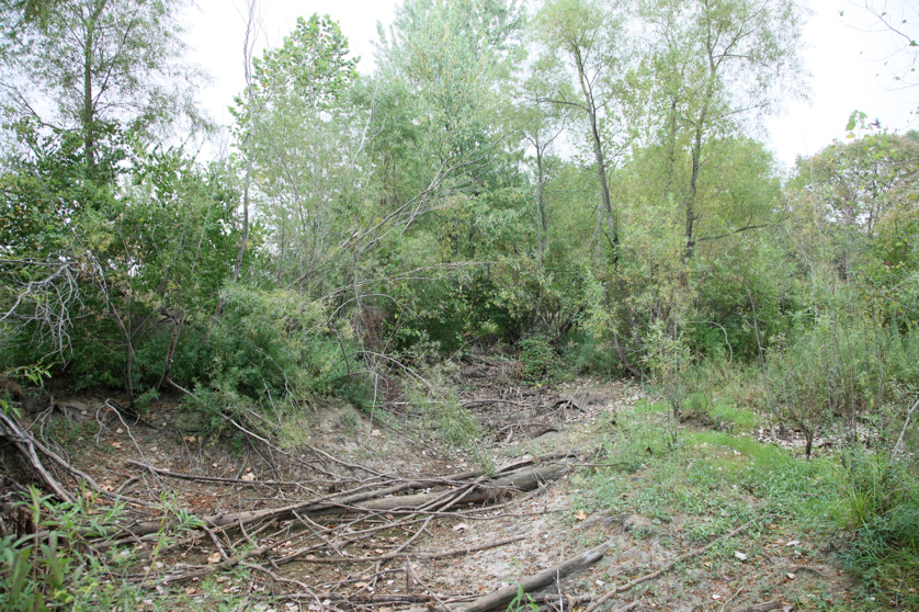 Full Size Image = 7654 K