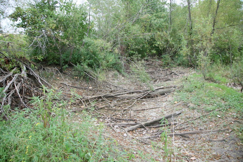 Full Size Image = 7356 K