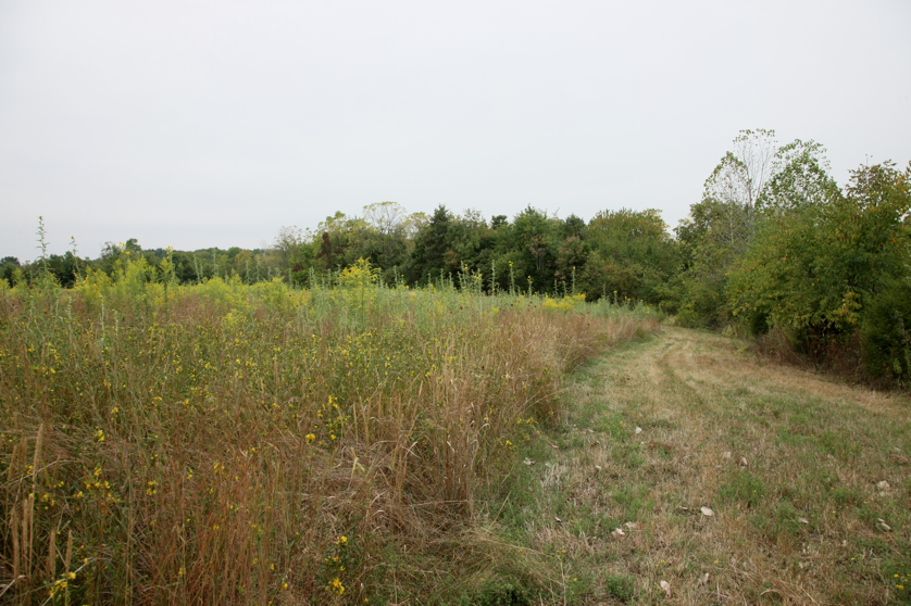 Full Size Image = 5288 K