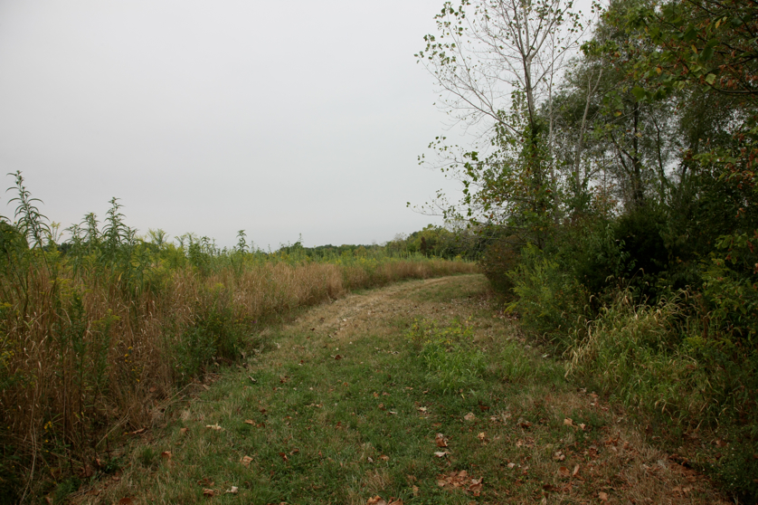 Full Size Image = 5291 K