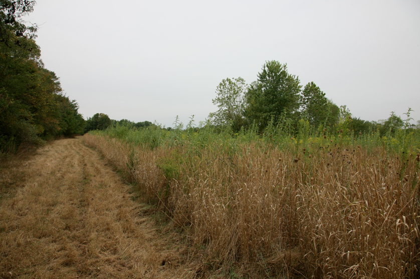 Full Size Image = 5058 K