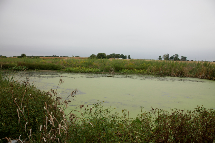 Full Size Image = 3809 K