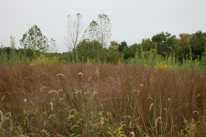 Full Size Image = 5051 K