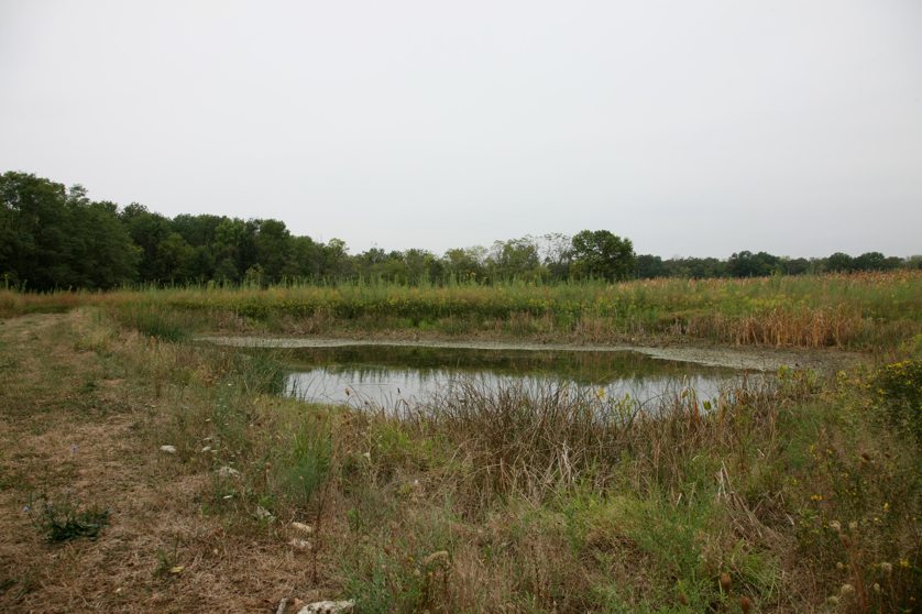 Full Size Image = 4748 K