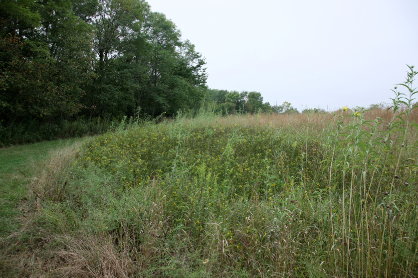 Full Size Image = 6459 K