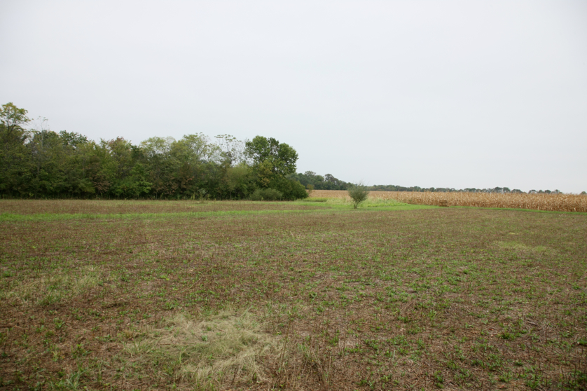 Full Size Image = 4506 K