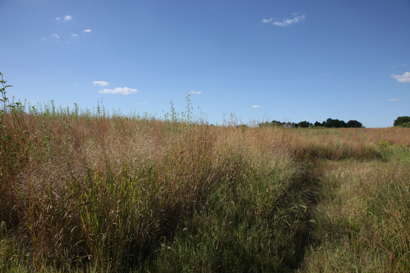 Full Size Image = 5195 K