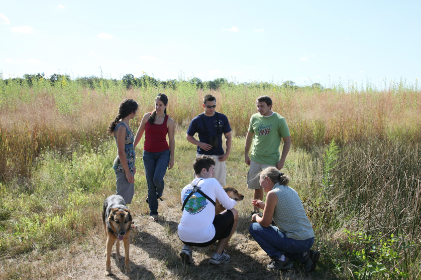 Full Size Image = 6076 K