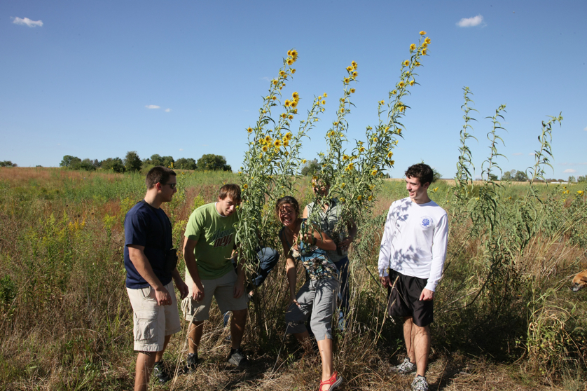 Full Size Image = 5423 K