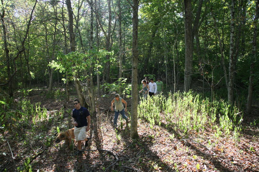 Full Size Image = 7962 K