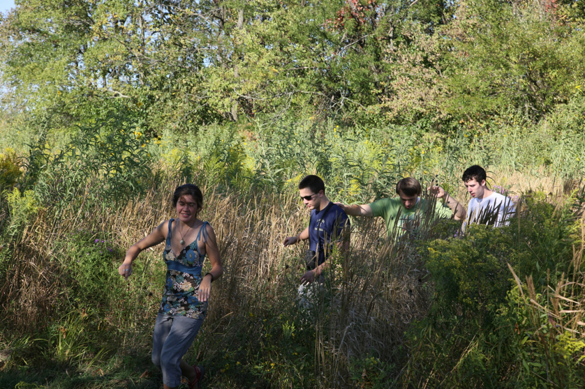 Full Size Image = 6968 K