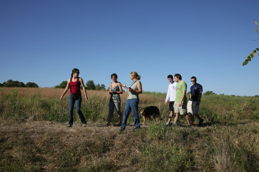 Full Size Image = 4844 K