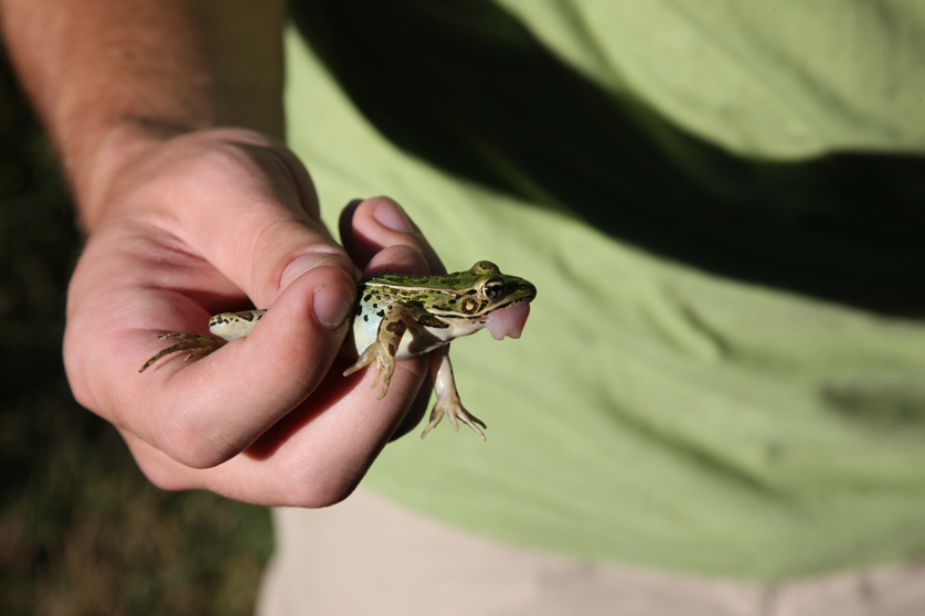 Full Size Image = 2609 K