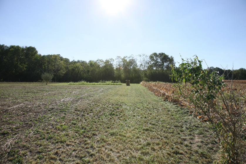 Full Size Image = 6075 K