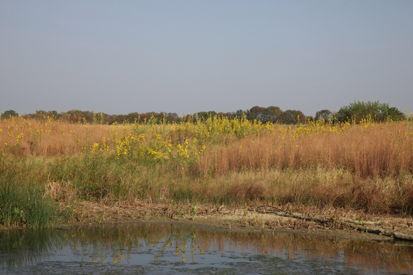 Full Size Image = 4954 K