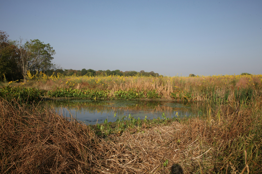 Full Size Image = 5666 K