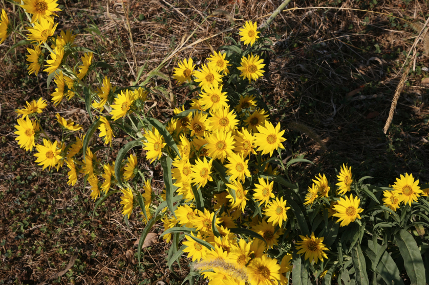 Full Size Image = 5769 K