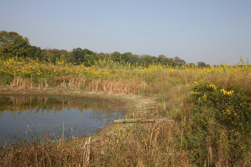 Full Size Image = 5798 K