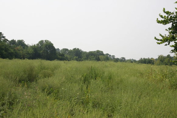 Full Size Image = 396 K