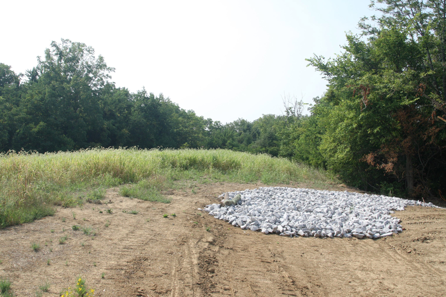 Full Size Image = 1204 K