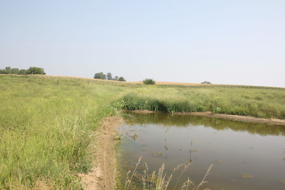 Full Size Image = 323 K